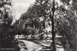 Sala Stureparken 1923