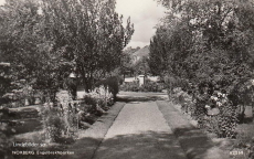 Norberg Engelbrektsparken 1949
