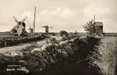 Skärlöf. Öland 1940 Skärlöf. Öland 1940