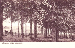 Kåfalla, Nora Bergslag 1905