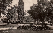 Nora Parken 1954